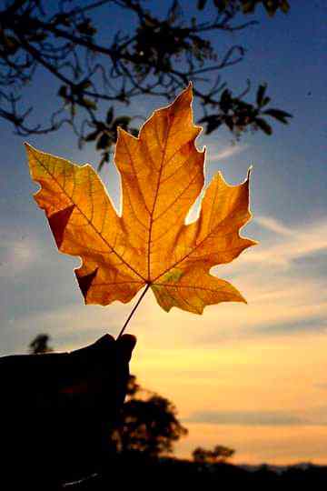 People will notice the change in ur atitude towards them but won't  notice their behaviour that made u change.