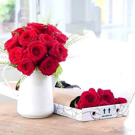 *﷽*

زندگی کسی کی بھی آسان نہیں ہوتی
زندگی کو آسان بنایا جاتا ہے

پیار سے ،خلوص سے، انسانیت سے،
اور سب سے بڑھ کر برداشت سے