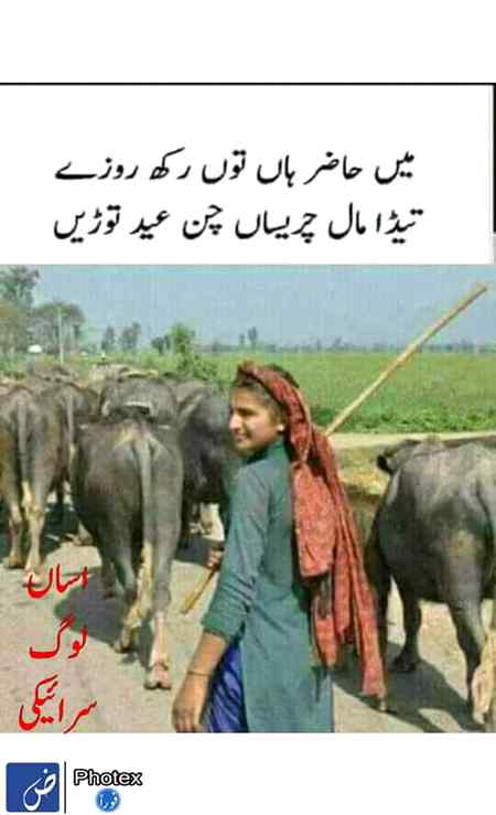 Assan lok saraiki...😘