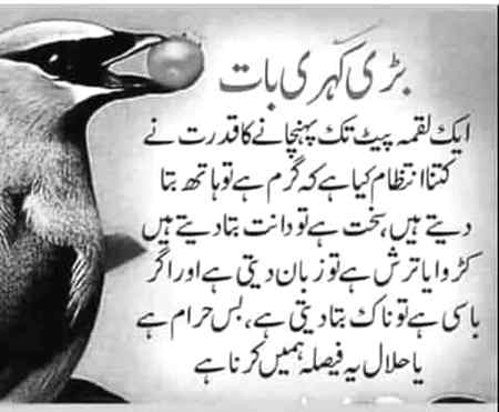 Sending by fareed ahmed shaikh