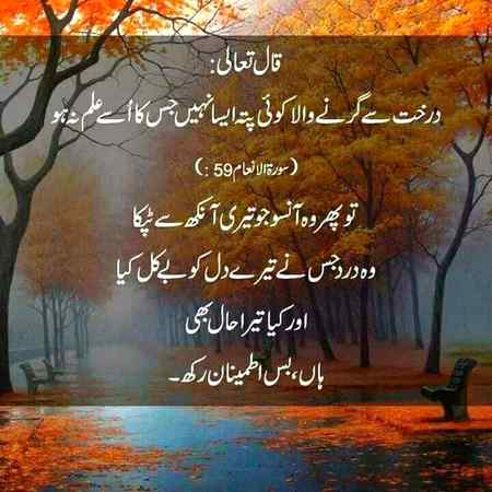 Asslam o alikum
