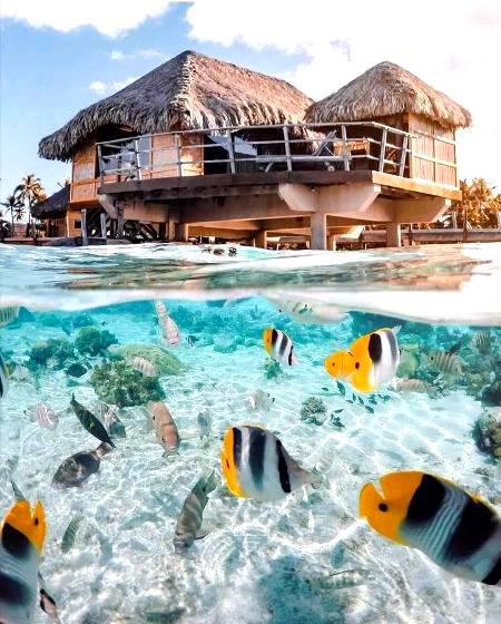 French Polynesia!