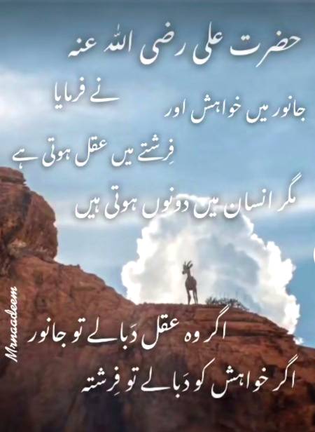 Mash Allah 💖💗💓
