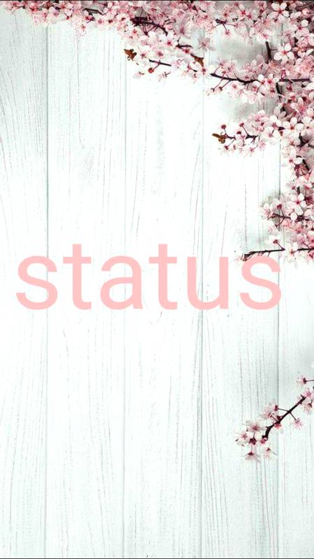 کیا کبھی  My Status کا اردو میں ترجمہ کرکے دیکھا ہے؟
یقیناََ نہیں؟؟؟
کیونکہ اگر ترجمہ کیا ہوتا اور آپ اس کے مفہوم سے آشنا ہوتے تو آپ کبھی بھی Status پر گانے اور ناچتی لڑکیوں کی TikTok نہ لگاتے۔
دراصل Status انگریزی کا لفظ ہے اور اردو میں اس کو درجہ یا عام الفاظ میں حیثیت کہتے ہیں۔اس طرح My Status کا مطلب ہوا میری حیثیت۔ 
اور جب آپ اسٹیٹس پر گانے اور ناچتی لڑکیوں کی ویڈیو لگاتے ہیں تو اصل میں آپ اپنی اوقات اور حیثیت کو
متعارف کروا رہے ہوتے ہیں۔