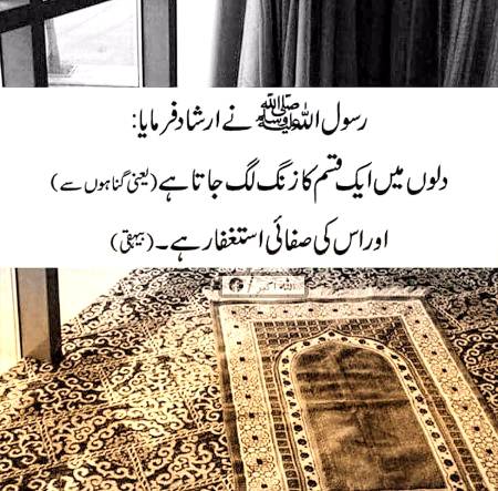🌹🌹🌹صلی اللہ علی حبیبہ محمد نور من نوراللہ وعلی آلہ واہل بیتہ وعترتہ وازواجہ وصحبہ وجدہ وذریتہ و کل امتہ وبارک وسلم کثیراً کثیرا و دائماً ابدا 🌹🌹🌹
