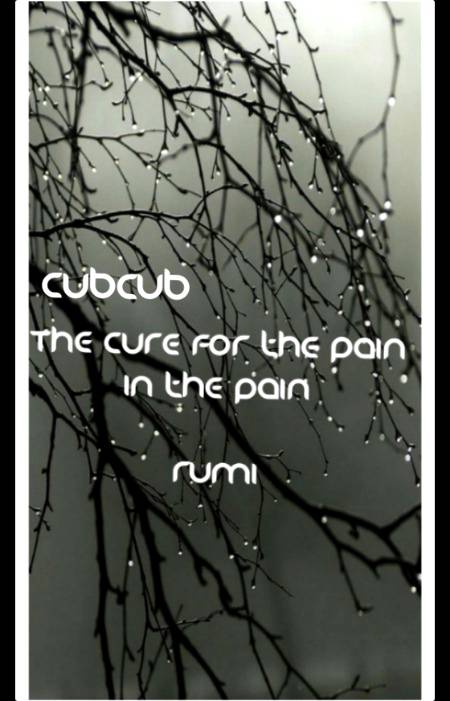 Rumi words