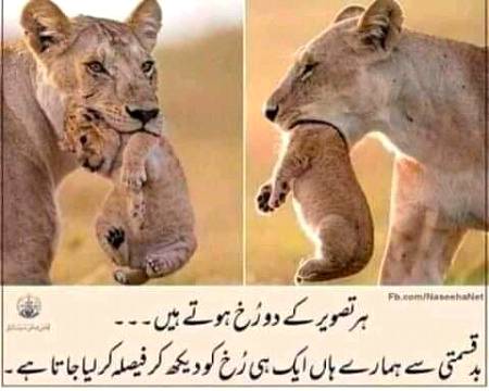 bilkul.saii👍👍