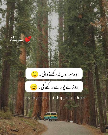Rozy Pory Rakhy Gi