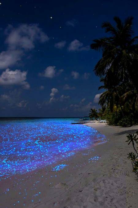 Incredible natural phenomina