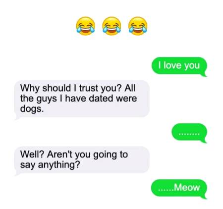 He's cat meowww...😸😻😹