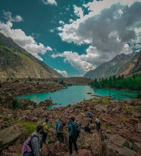 Niltera gilgit