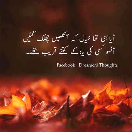 ( ⚈̥̥̥̥̥́⌢⚈̥̥̥̥̥̀) ༎ຶ‿༎ຶ ಥ‿ಥ