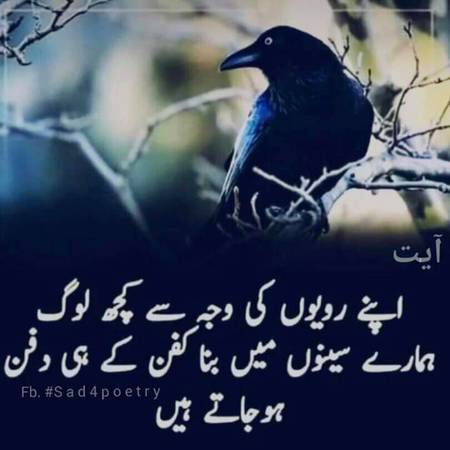 اپنے رویوں کی وجہ سے کچھ لوگ ہمارے سینوں میں بنا کفن کے ہی دفن ہوجاتے ہیں