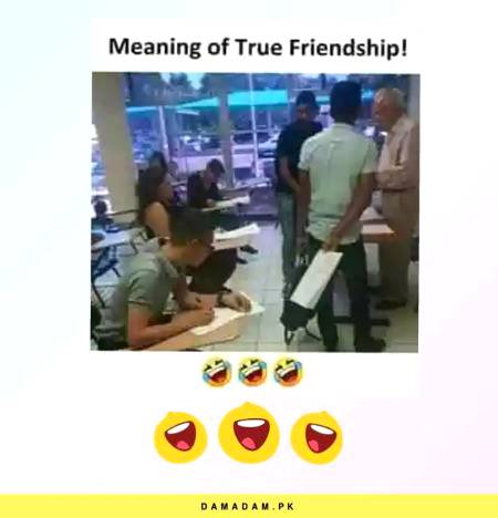 True frinds.