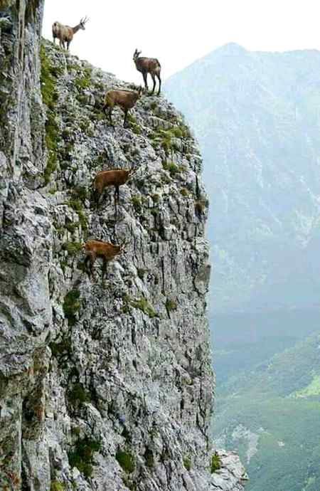 Wildlife photography..