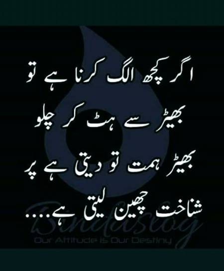 ہمیں گوارہ نہیں ہم لوگوں جیسے بنیں ہم اپنی ایک الگ پہچان رکھتے ہیں۔😏