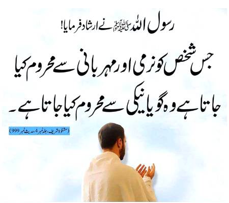 نرمی اور مہربانی