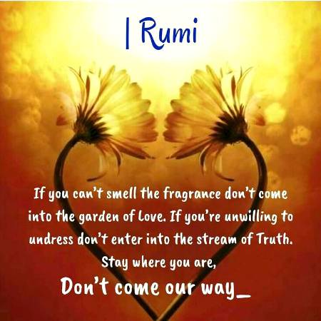 RUMI'S WORDS
