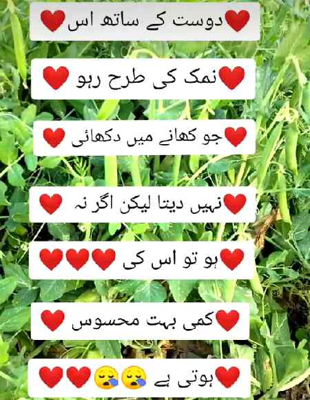 Asalam o alikum all