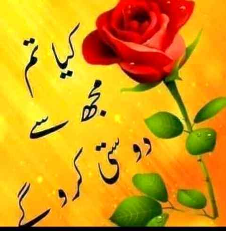 Sending by fareed ahmed shaikh kon kra ga dosti