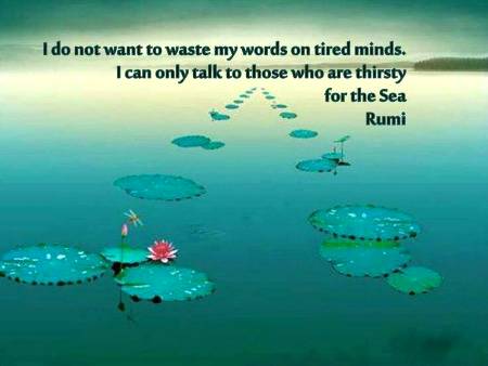 RUMI'S WORDS