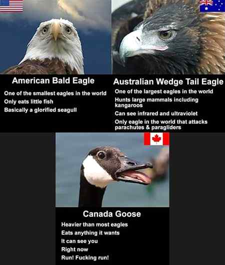 Becareful amazing facts😛😜😏😎