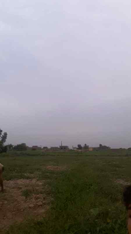 This veiw of my village