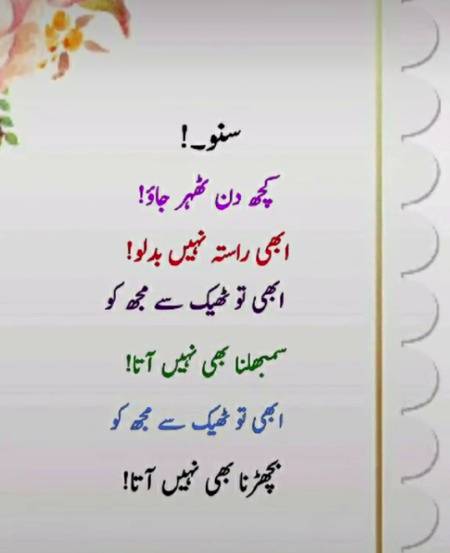 FiAmaanillah  (╯︵╰,)