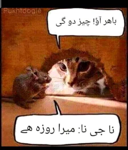 Kis kis ka roza ha aj🤔🤔🤔