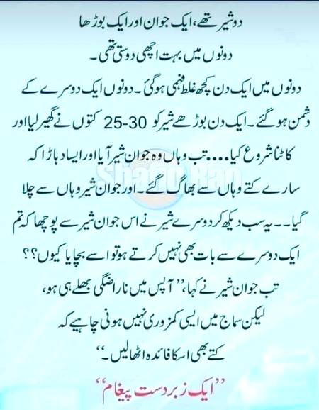 ایک زبردست پیغام