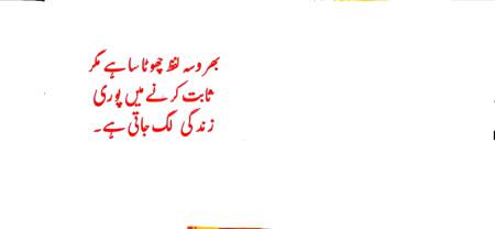 میں  صرف  پوسٹ نہیں  بلکے زندگی کا سچ  شعر کرتا ہوں