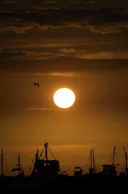 Amazing sunset pic✨✨