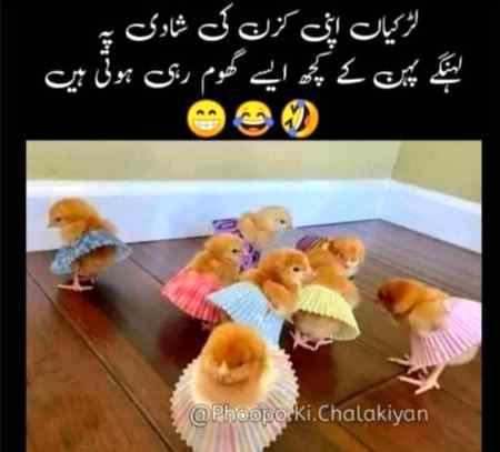 Damadam girls ...