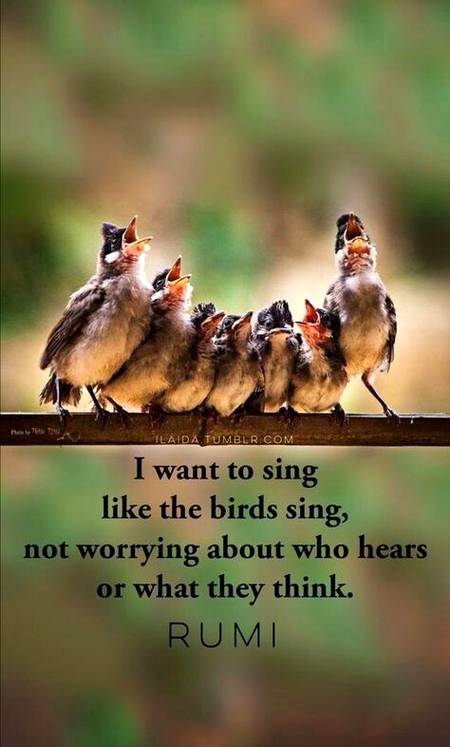 RUMI'S WORDS