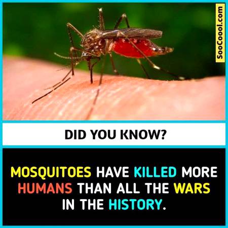 Do you know that ?