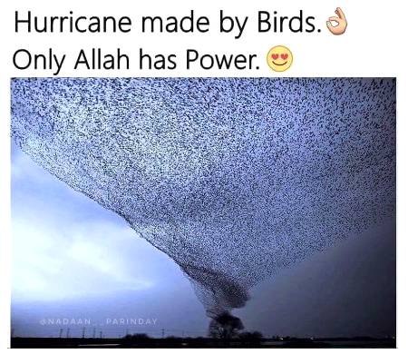 .... 🥰🥰🥰❤️❤️❤️❤️🥰🥰🥰...
