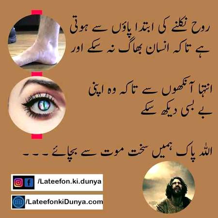 ameen suma ameen