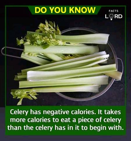 Unbelievable facts 💥💥