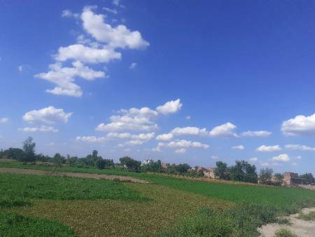 ان  بادلوں  سے  کہا  دو  کے  ذرا  سوچ  کے برسنا ،،،،،
اگر  ہمیں ان کی  یاد  آگئی  تو  مقابلا  برابری کا ہو گا،،،،،