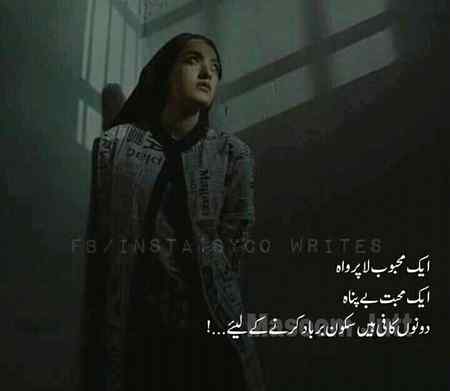 Hlo friends
