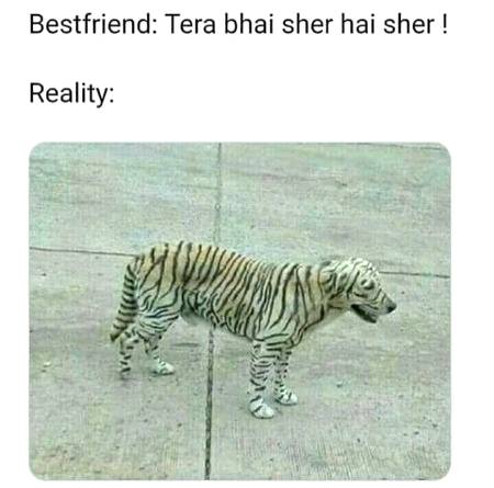 Shah jee.....😘😍😘😍😘😍😘😍😘