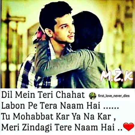 Tu muhobbat Kar y na Kar Meri Zindagi tera naam hn