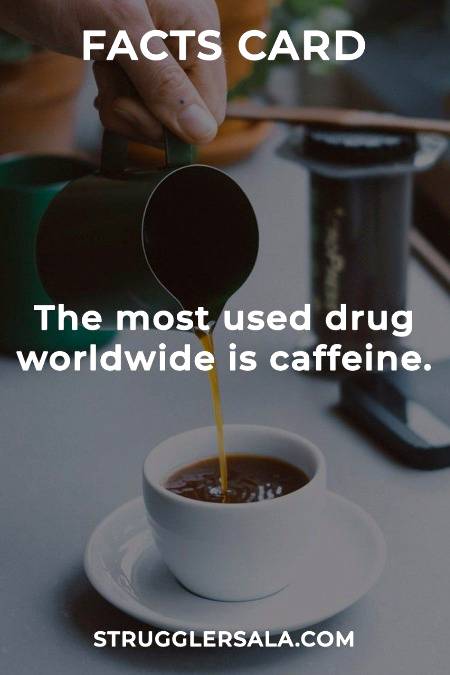 Did you know about The most useful drug
 is ?