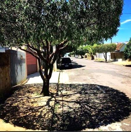 *ساؤتھ امریکی ملک ایکواڈور  میں جہاں سورج کی کرنیں  90°  کا صحیح زاویہ لیتی ہیں درختوں کا سایہ یوں محسوس ہوتا ہے جیسے آرٹ ورک ہو بیشک اللّٰہ رب العزت کی ذات ہی تمام تعریفوں کے لائق ہے...!*