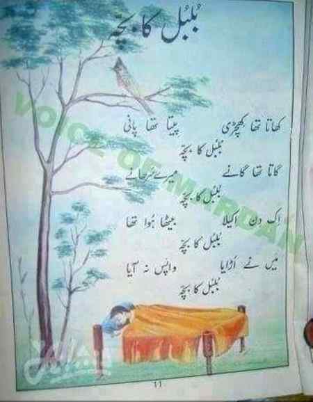 Bulbul ka bacha , kis kis ko yd ha oyyy