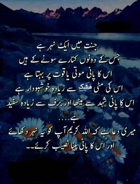 Ameen sum.ameen