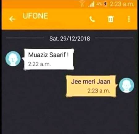 shaded single log...