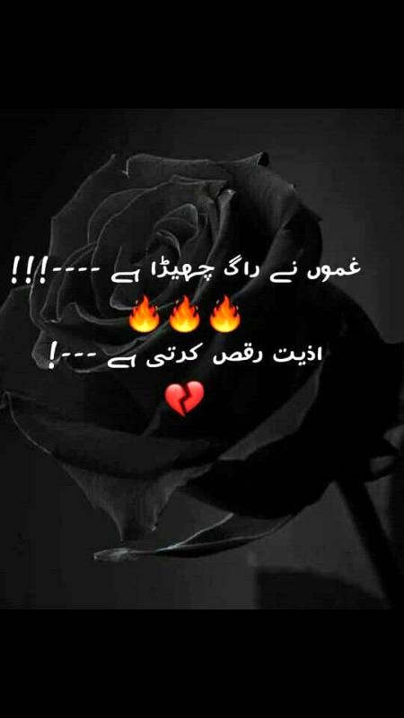 عاشقوں کو جائز نہیں کفن دفن
مَریں تو یار کے در پہ پھینک آؤ 🔥