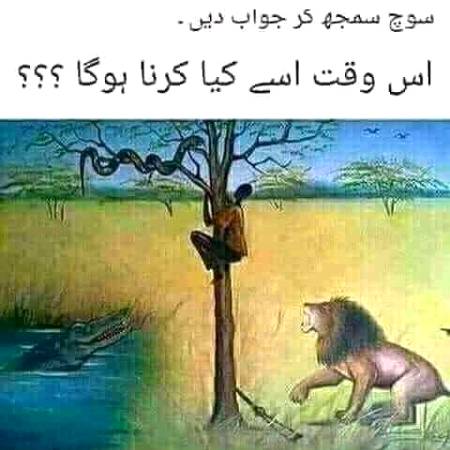 Es Timaimah Apr kah krna chai???🤔🤔🤔