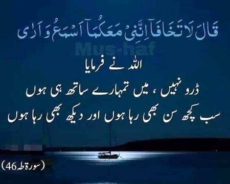 🌹🌹🌹صلی اللہ علی حبیبہ محمد نور من نوراللہ وعلی آلہ واہل بیتہ وعترتہ وازواجہ وصحبہ وجدہ وذریتہ و کل امتہ وبارک وسلم کثیراً کثیرا و دائماً ابدا 🌹🌹🌹